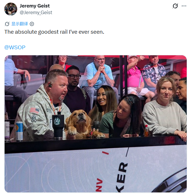 带着金毛打WSOP？“没有它，我可能会死在牌桌上”